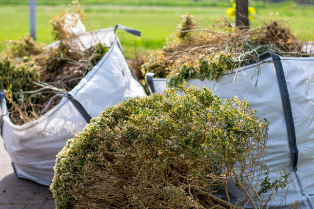 Best Estate Cleanout Services  in Farmersville, CA